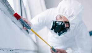 Best Residential Pest Control  in Beaufort, NC